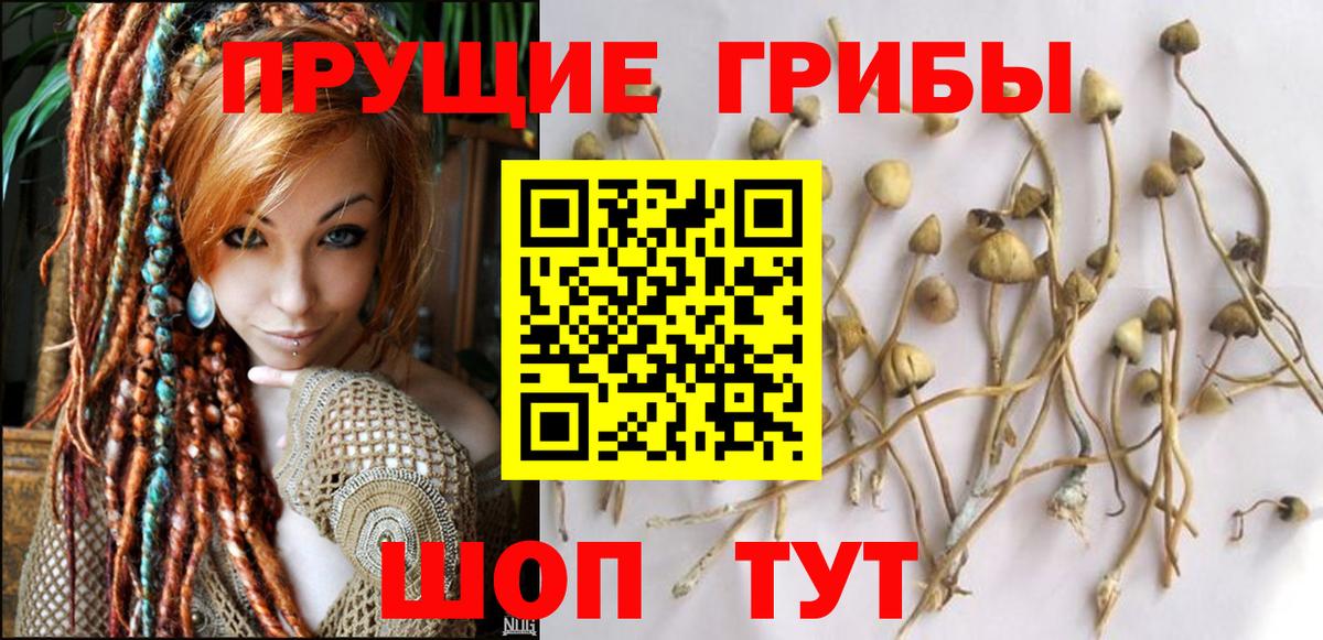 Галлюциногенные грибы GOLDEN TEACHER  Вход с VPN  Саров 