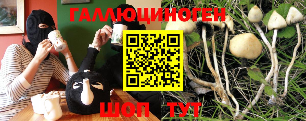 Бошки Шишки  МАРИХУАНА  НБОМе  Вейп ТГК  МЕФ кристаллы  АМФЕТАМИН   Саров  ГАШИШ  КОКАИН  ГАШИШ  Вход с VPN 